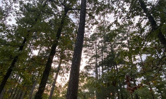 Camping near Wards Campground — Lake Wister State Park: Cedar Lake Equestrian Campground, Hodgen, Oklahoma