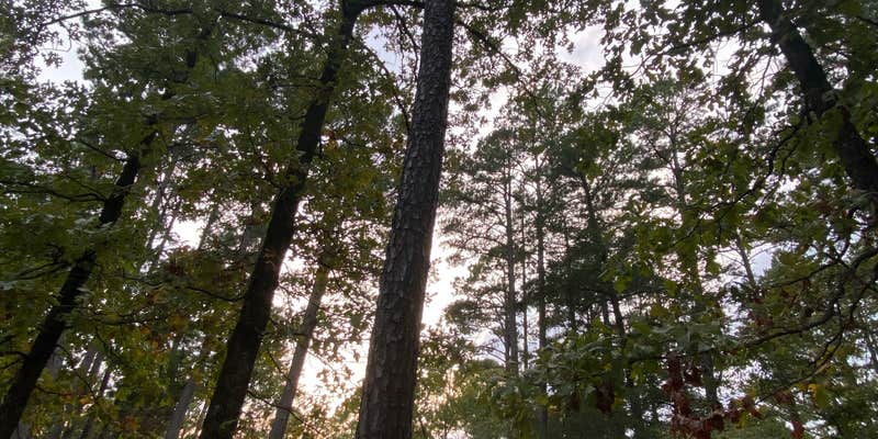 Camper submitted image from Cedar Lake Equestrian Campground