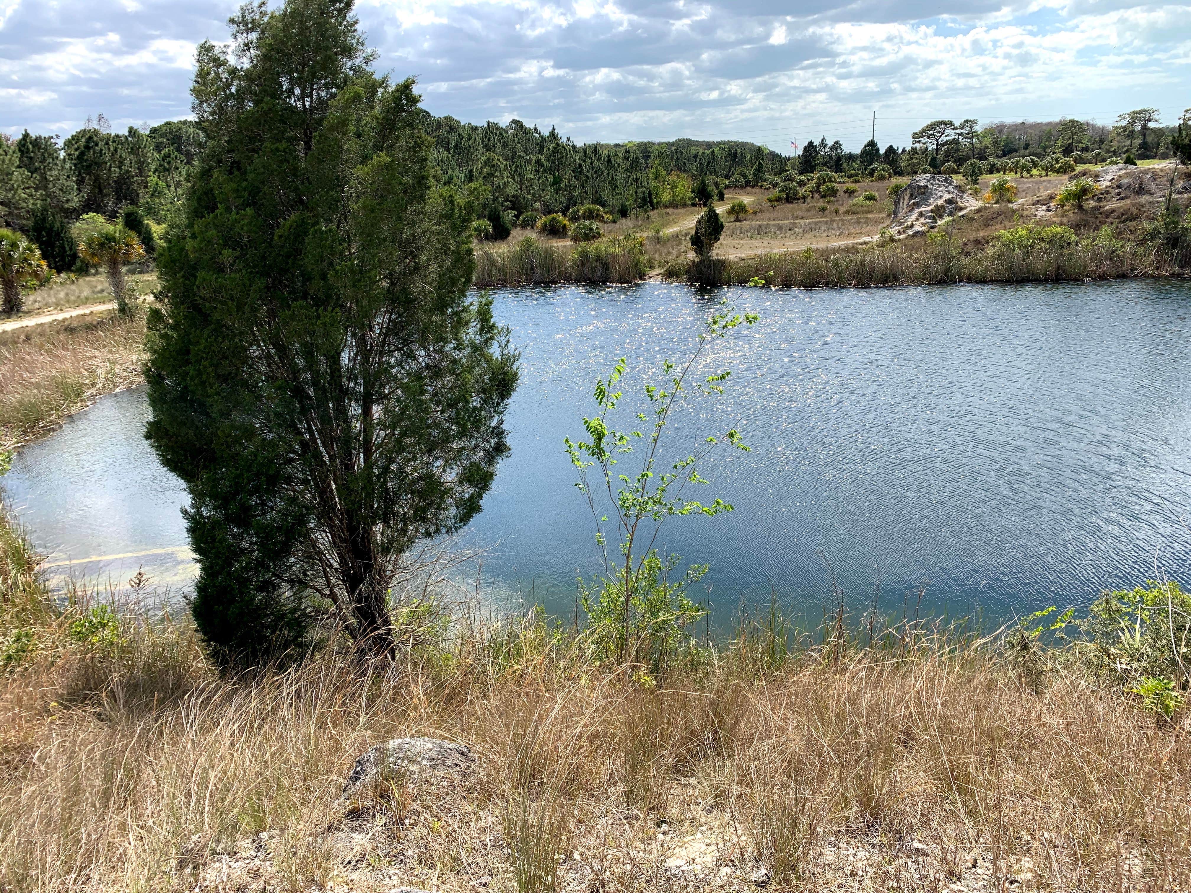 Camper-submitted photo at Chief Aripeka Travel Park near Aripeka, FL