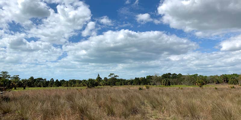 Camper submitted image from Chief Aripeka Travel Park