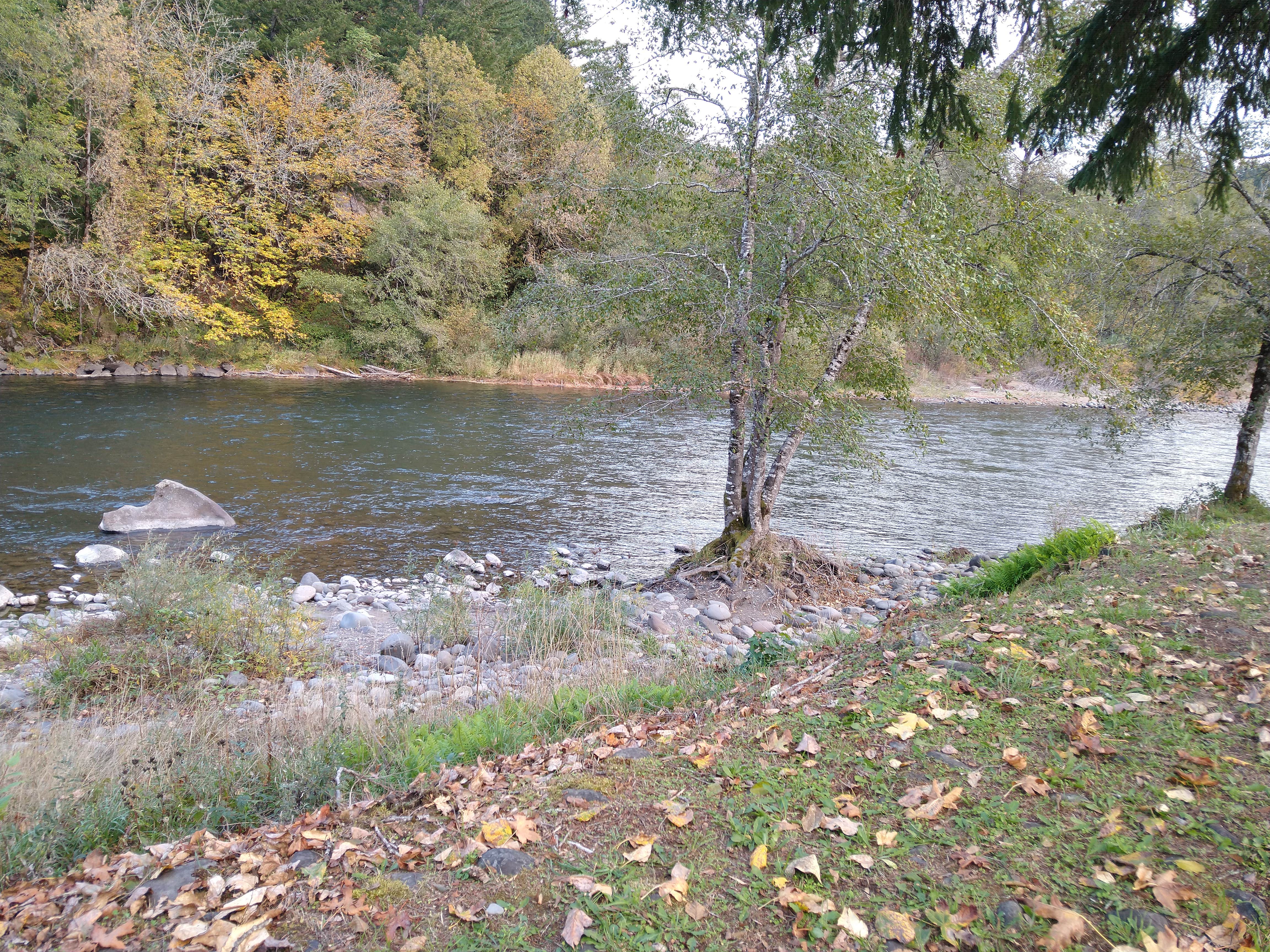 Camper submitted image from Casey's Riverside RV resort - 2