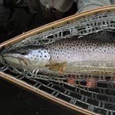 Review photo of Owyhee River - Below Dam - Owyhee Dam Park by Ed E., May 22, 2018