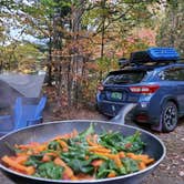 Review photo of Black Brook Cove Campground by Miccal  M., October 27, 2020