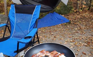 Miccal M.'s photo at Black Brook Cove Campground in Maine