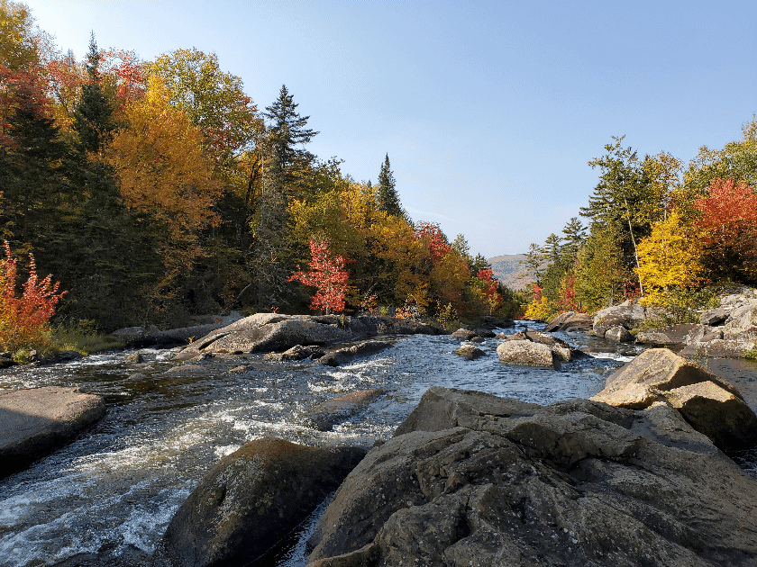 Camper-submitted photo at Black Brook Cove Campground near Oquossoc, ME