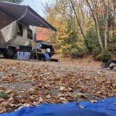 Review photo of Black Brook Cove Campground by Miccal  M., October 27, 2020