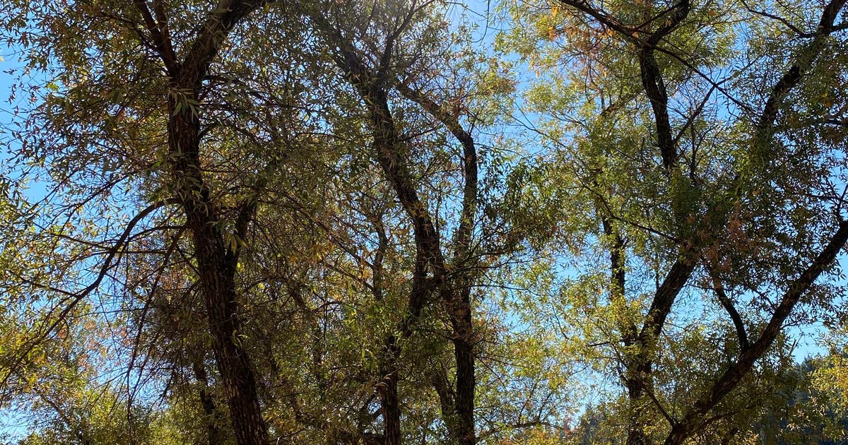 Greenhorn Campground