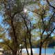 Greenhorn Campground