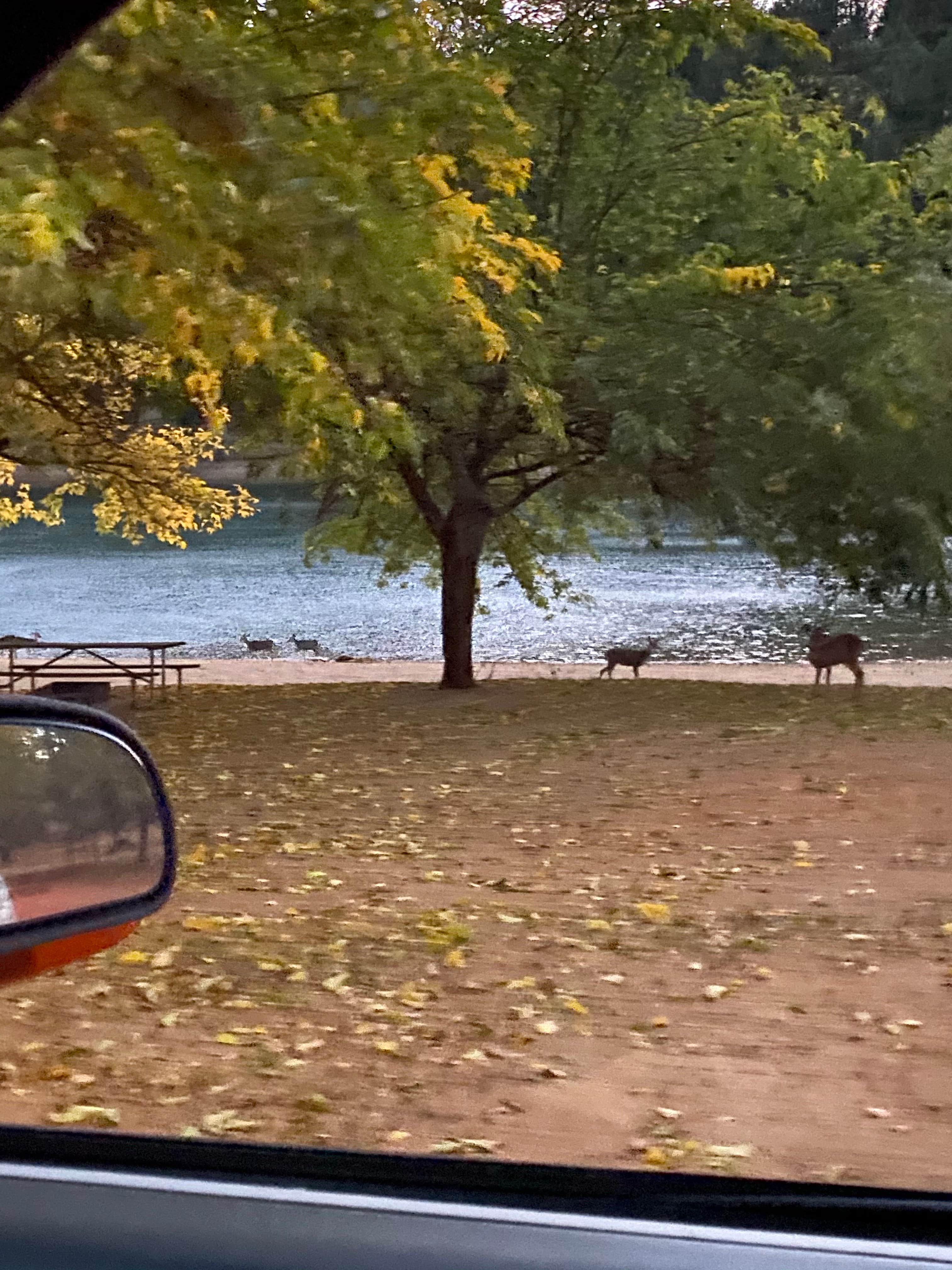 Camper-submitted photo at Greenhorn Campground near Gold Run, CA