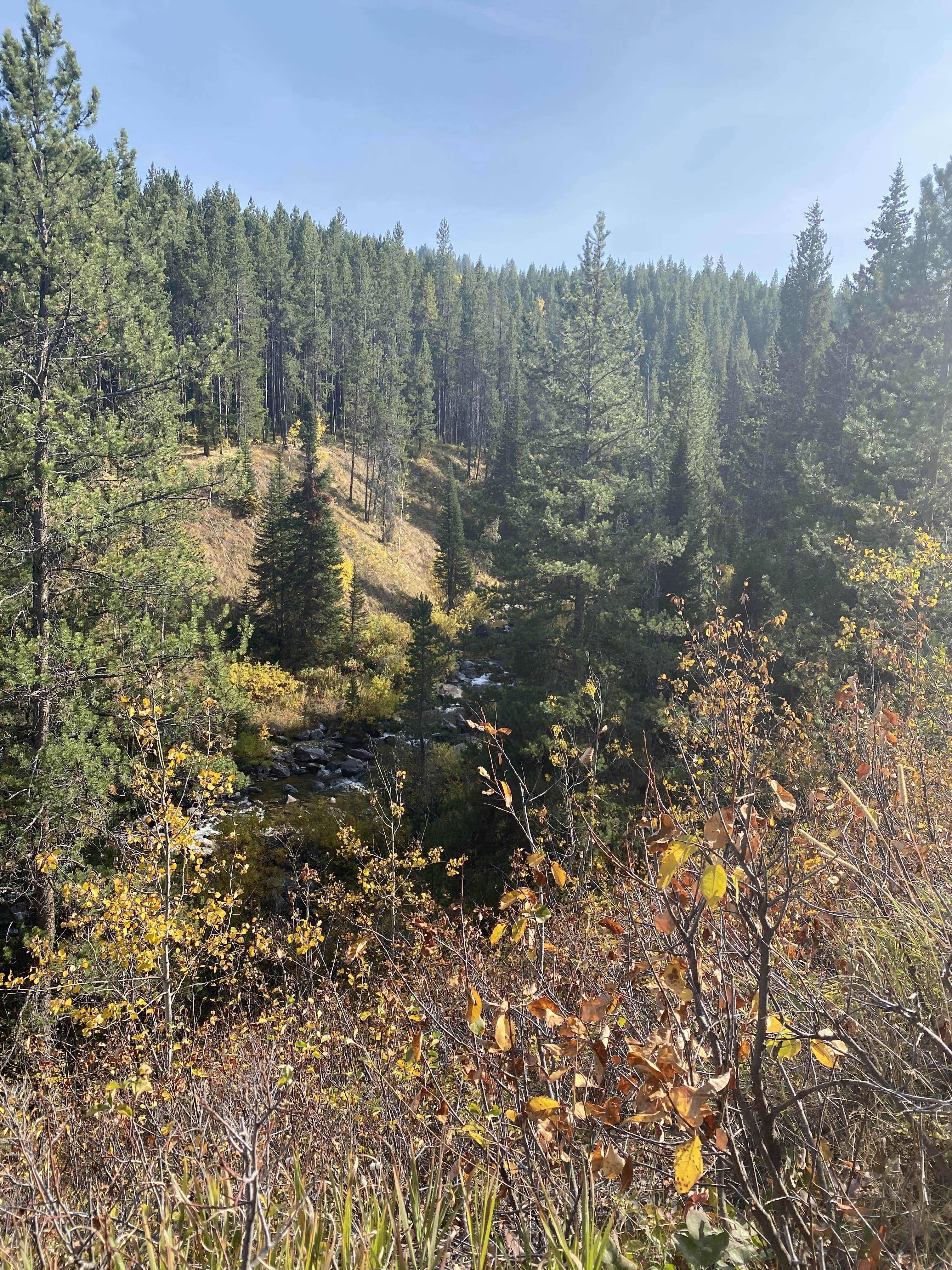 Camper-submitted photo at Bridger-Teton National Forest near Grand Teton National Park