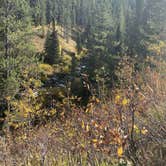 Review photo of Bridger-Teton National Forest by Jade G., October 27, 2020