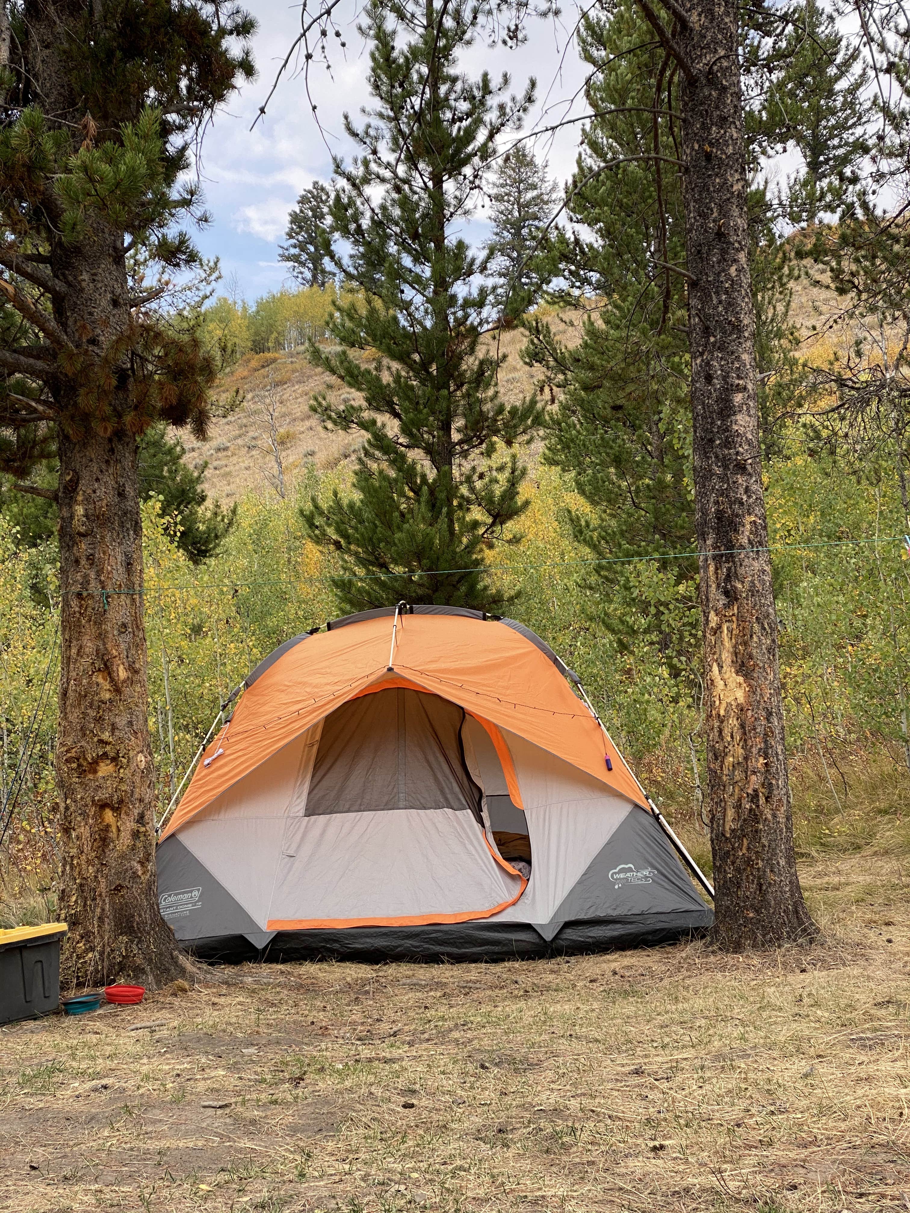 Camper-submitted photo at Bridger-Teton National Forest near Grand Teton National Park
