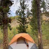 Review photo of Bridger-Teton National Forest by Jade G., October 27, 2020