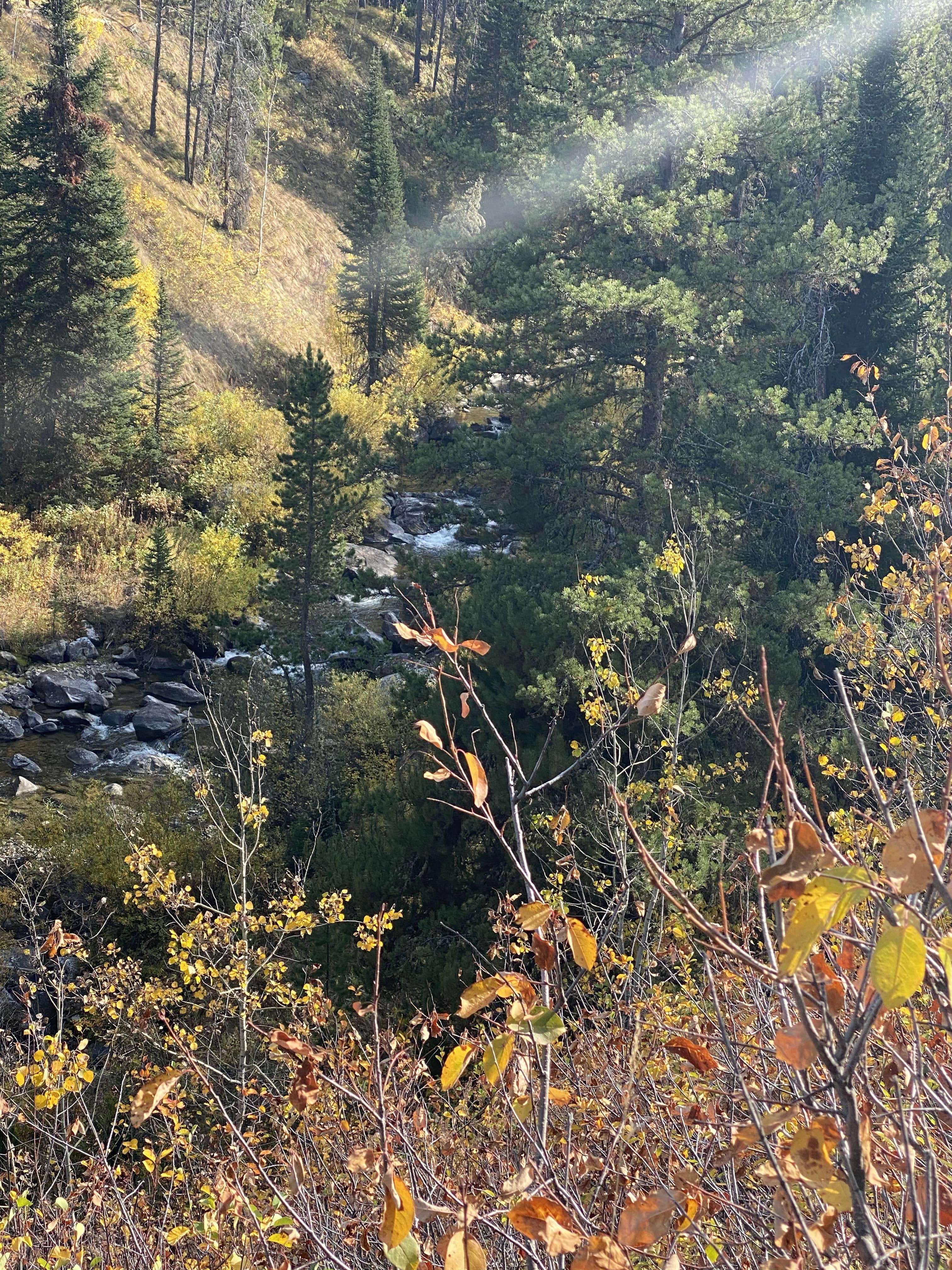 Camper-submitted photo at Bridger-Teton National Forest near Grand Teton National Park
