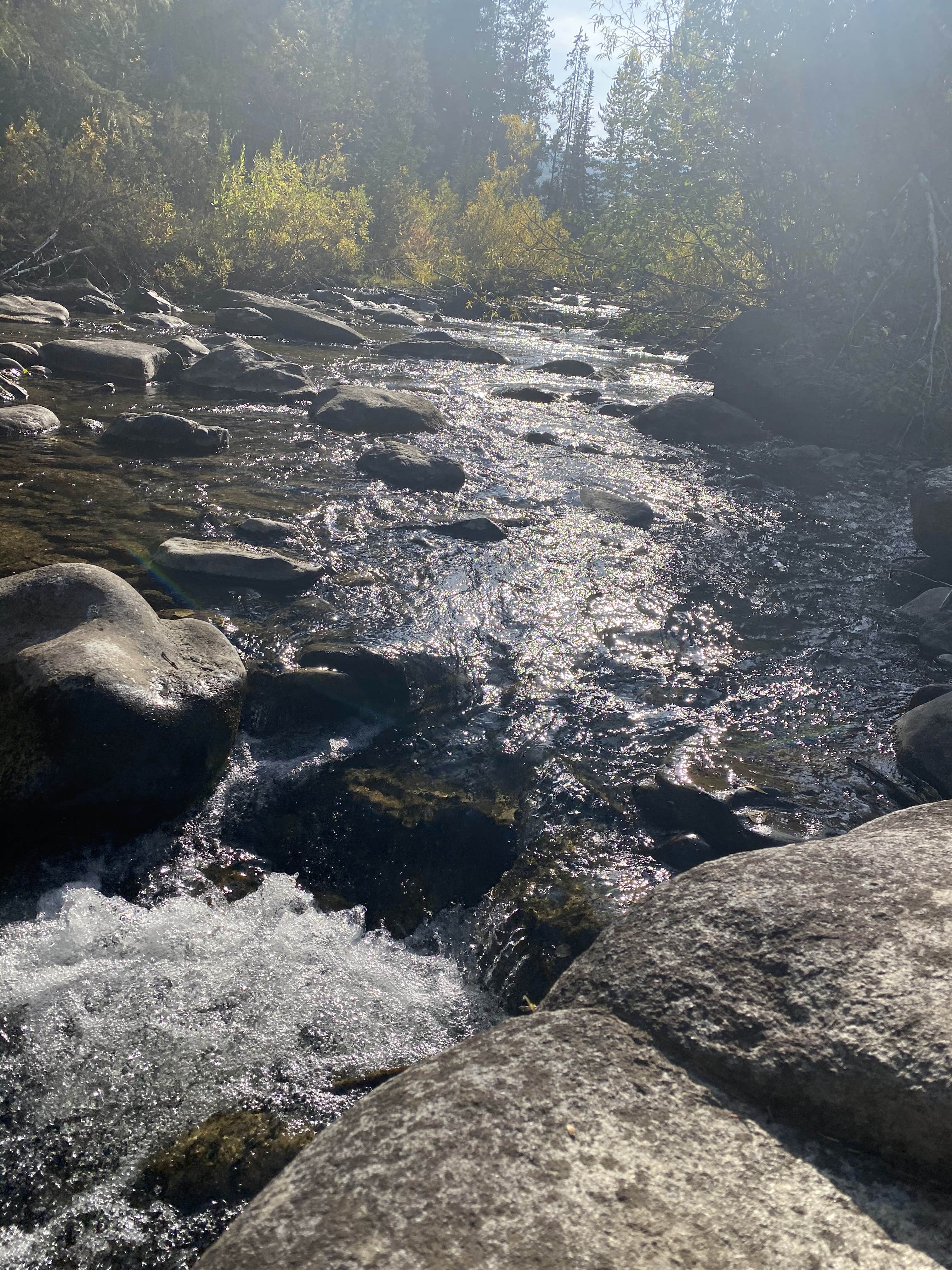 Camper-submitted photo at Bridger-Teton National Forest near Moran, WY