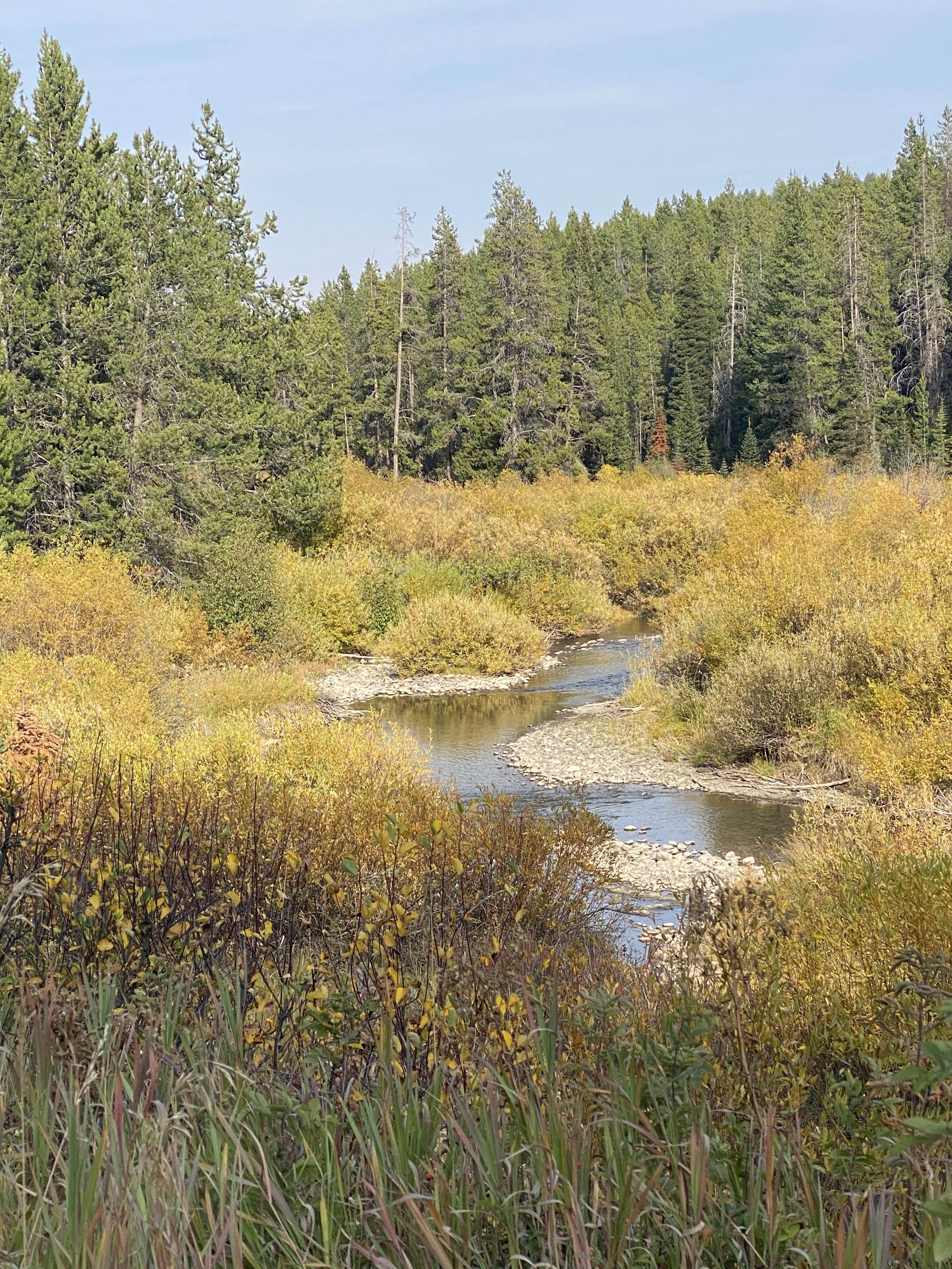 Camper-submitted photo at Bridger-Teton National Forest near Grand Teton National Park
