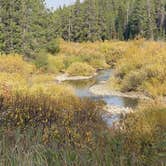 Review photo of Bridger-Teton National Forest by Jade G., October 27, 2020