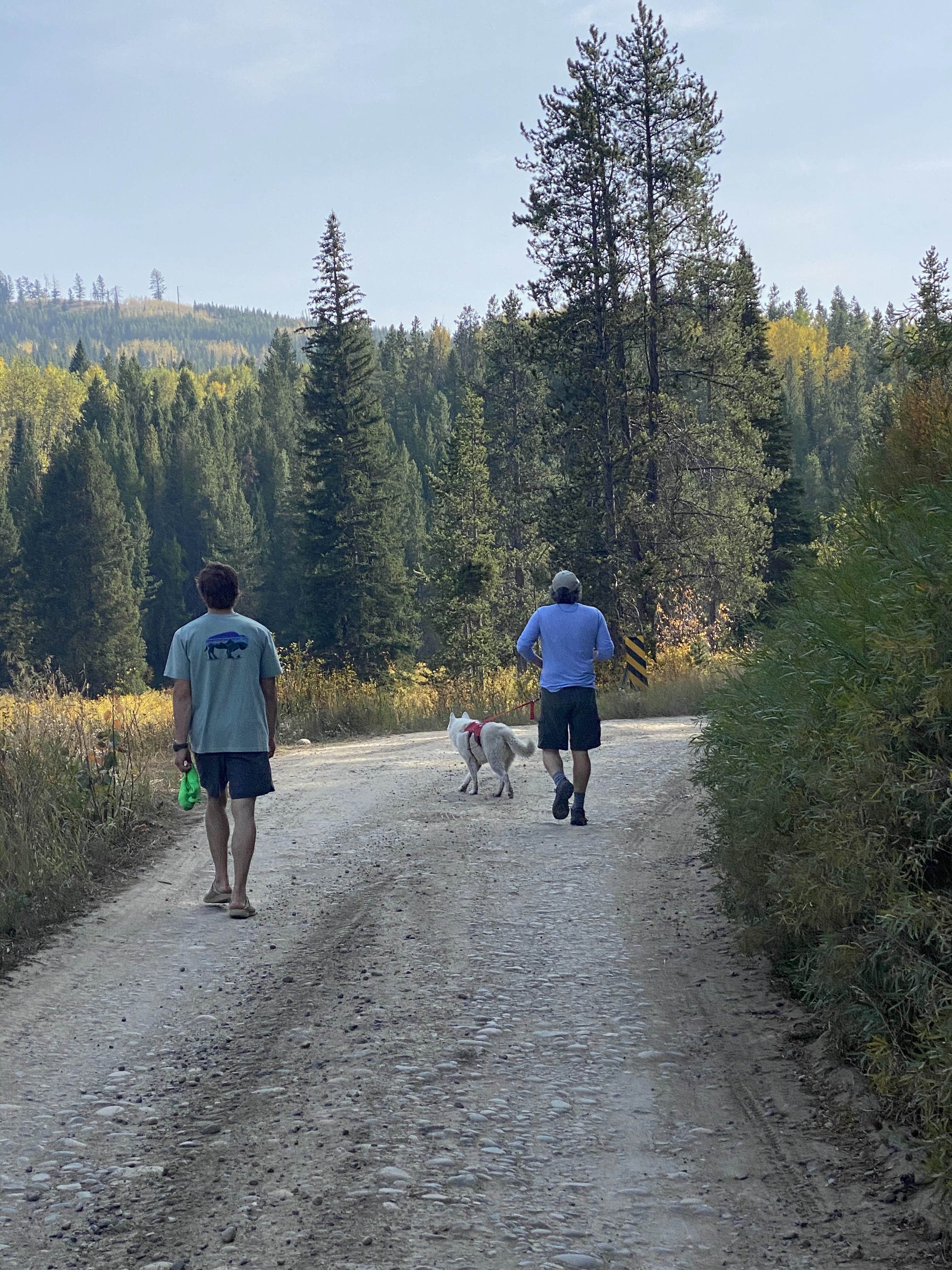 Jade G.'s photo of camping with pets at Bridger-Teton National Forest near Moran, WY