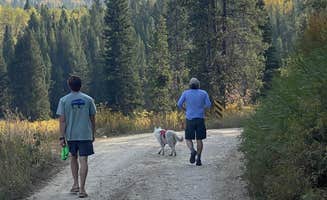 Jade G.'s photo of camping with pets at Bridger-Teton National Forest near Dubois, WY