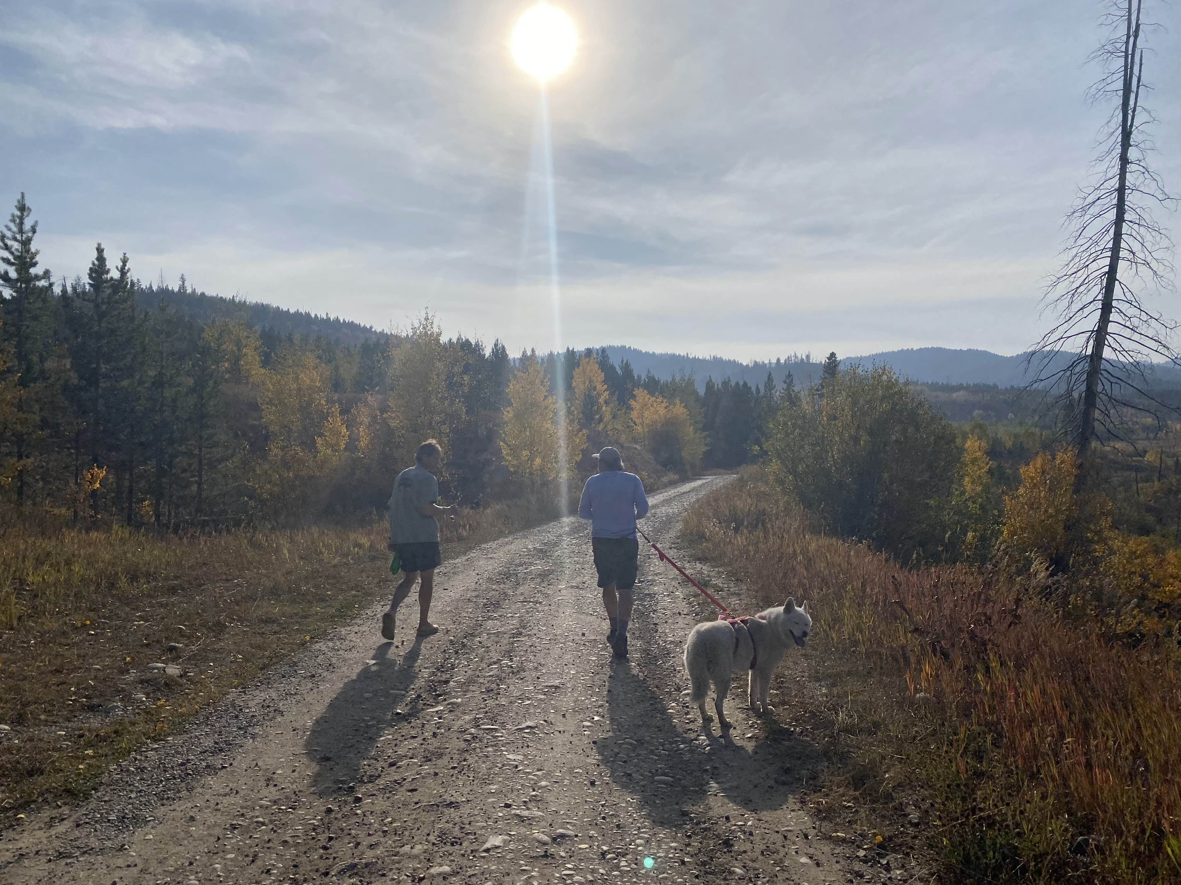 Jade G.'s photo of camping with pets at Bridger-Teton National Forest near Dubois, WY