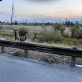 Review photo of Bridger-Teton National Forest by Jade G., October 27, 2020