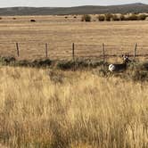 Review photo of Bridger-Teton National Forest by Jade G., October 27, 2020