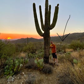 This is directly ACROSS the road from the campsite. The arrow points to Redington Pass. We noticed a small trail and enjoyed getting some cacti in some sunset photos!