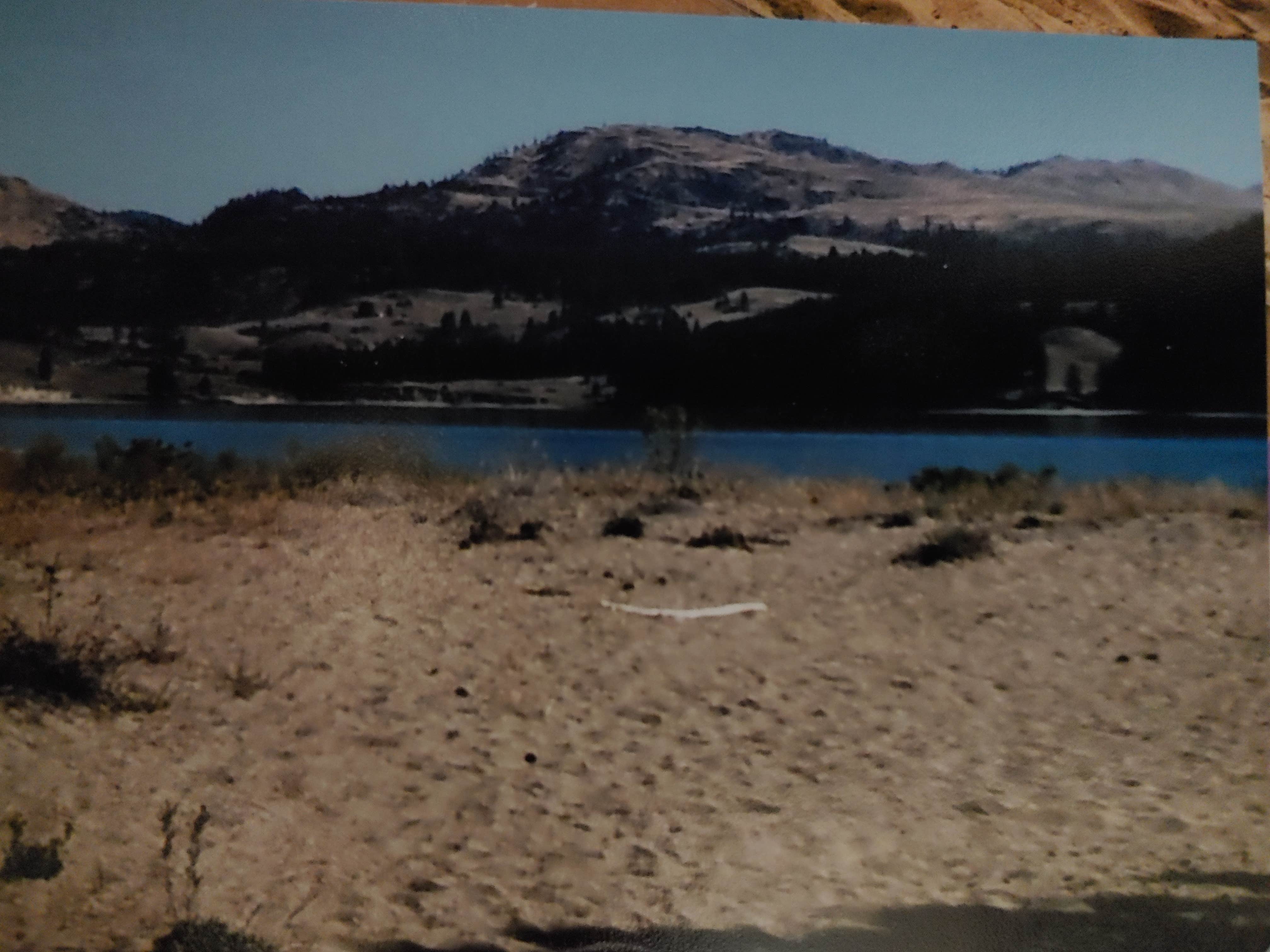 Camper-submitted photo at Rogers Bar near Lake Roosevelt National Recreation Area