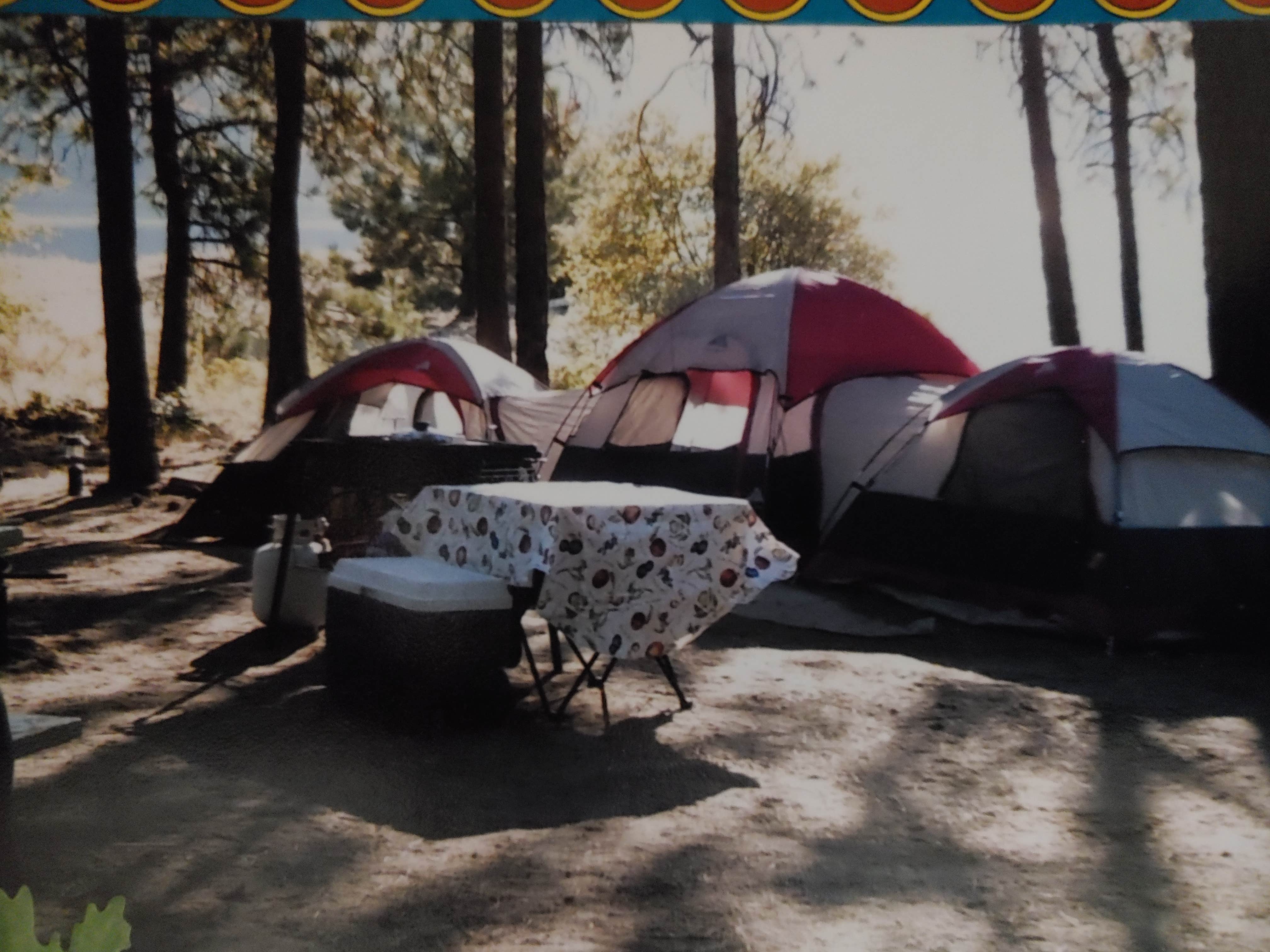 Camper-submitted photo at Rogers Bar near Loon Lake, WA