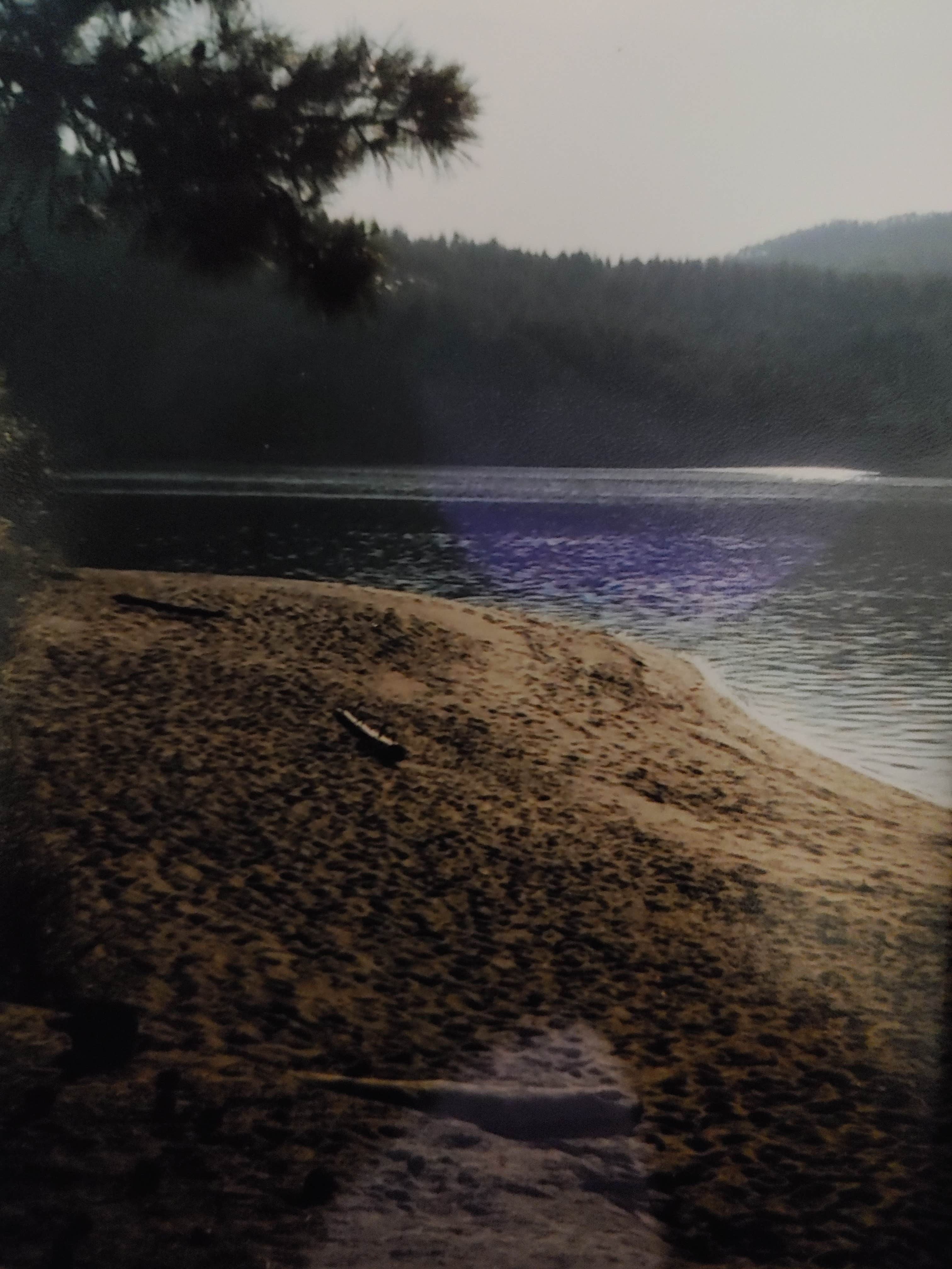 Camper-submitted photo at Rogers Bar near Loon Lake, WA