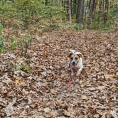 Review photo of Whitewater Memorial State Park Campground by Brady R., October 27, 2020