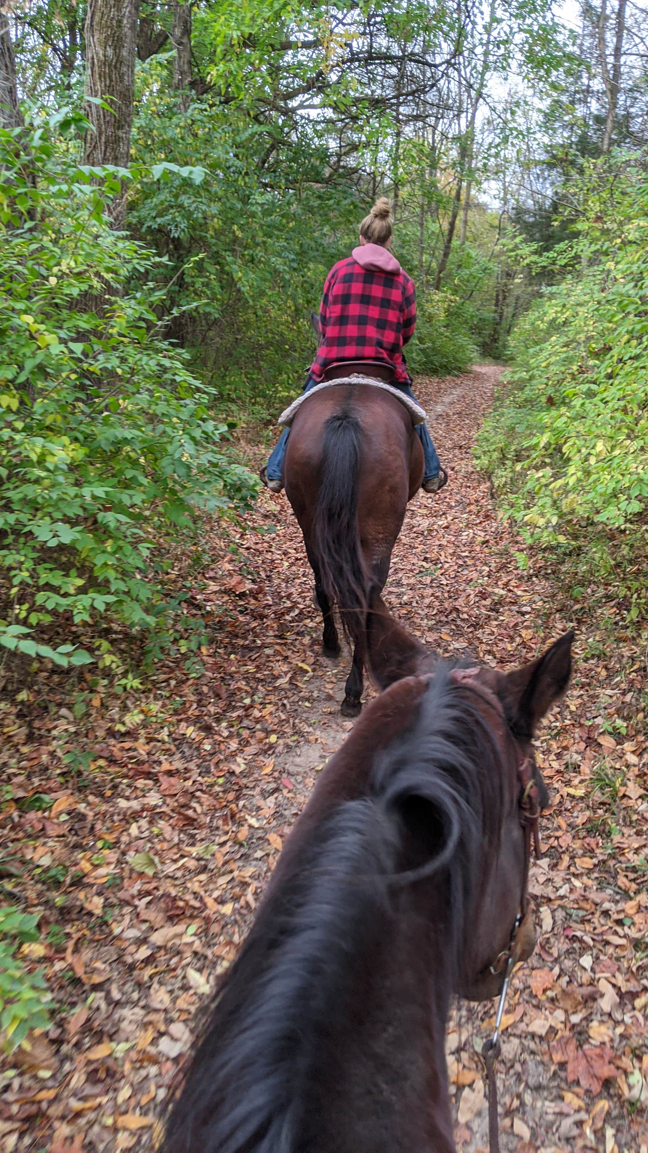 Brady R.'s photo of camping with a horse at Whitewater Memorial State Park Campground near Osgood, IN