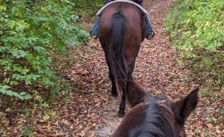 Brady R.'s photo of camping with a horse at Whitewater Memorial State Park Campground near Fairfield, OH