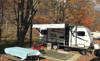 Craig F.'s photo of rv camping at Pettecote Junction Campground near Gaines, PA