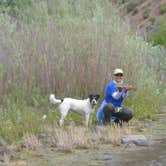 Review photo of Owyhee River - Below Dam - Owyhee Dam Park by Ed E., May 22, 2018