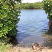 Review photo of Long Point Park Campground by Suzie F., February 18, 2020