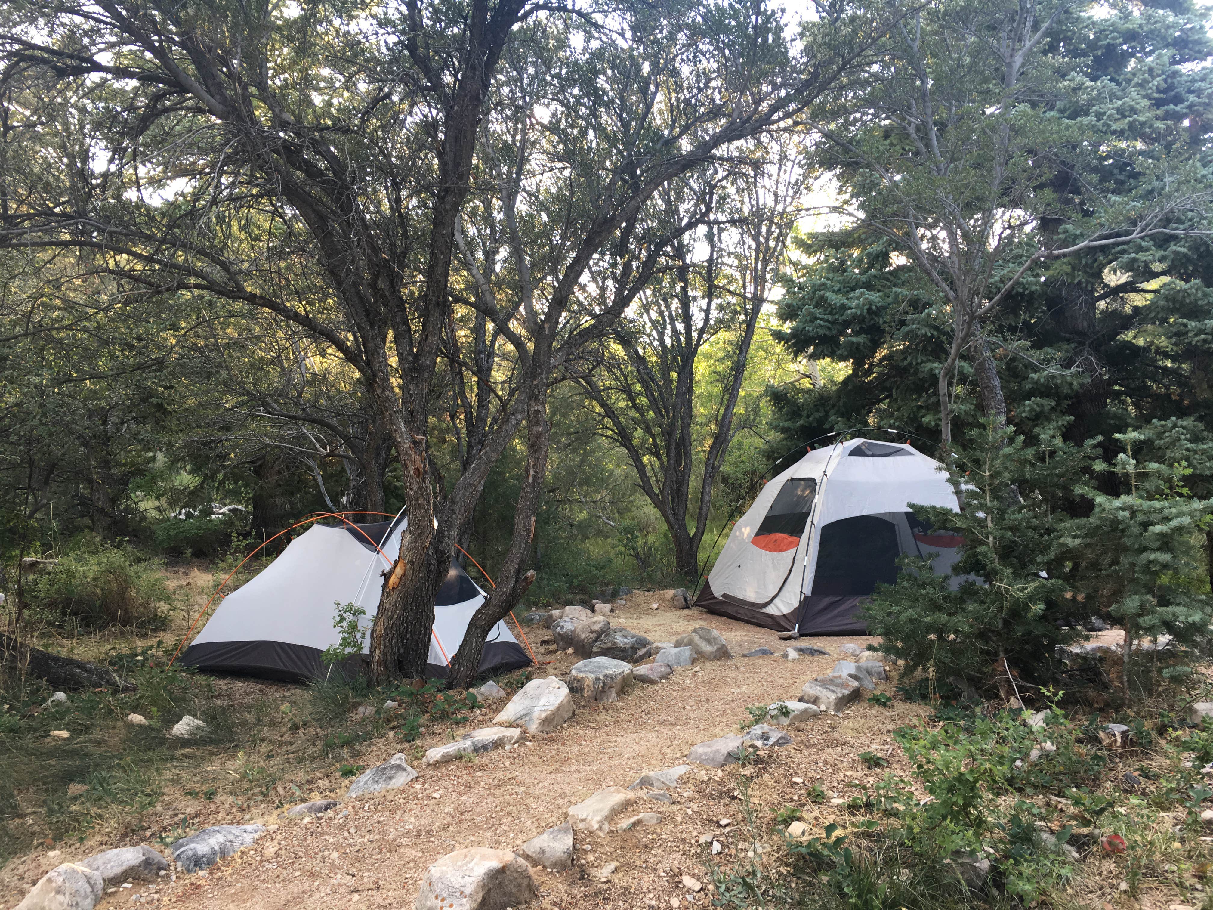 Leah Katie T.'s photo at Upper Lehman Creek Campground — Great Basin National Park near Ely, NV