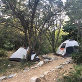 Review photo of Upper Lehman Creek Campground — Great Basin National Park by Leah Katie T., May 22, 2018