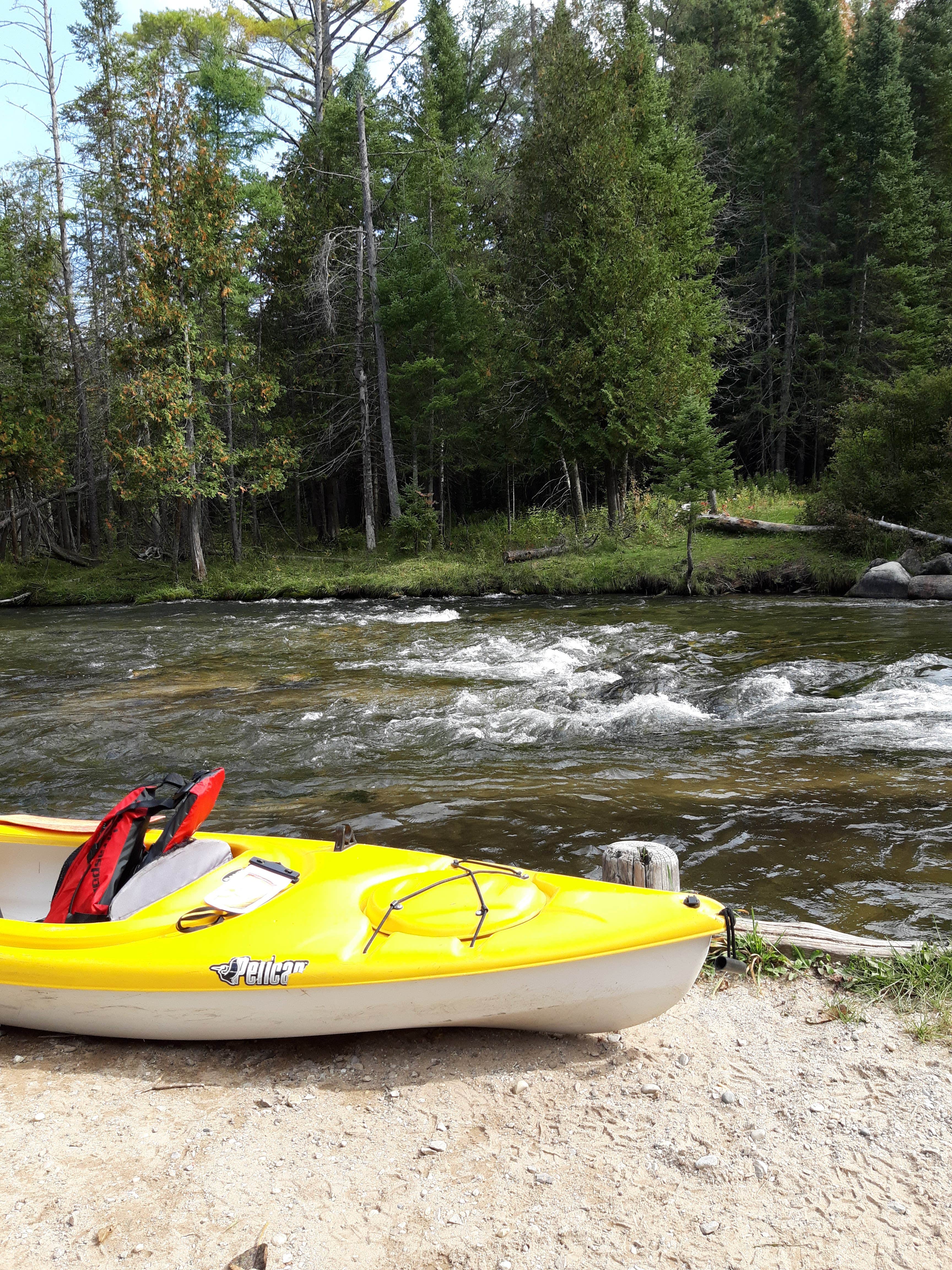 Camper-submitted photo at Young State Park Campground near Boyne Falls, MI
