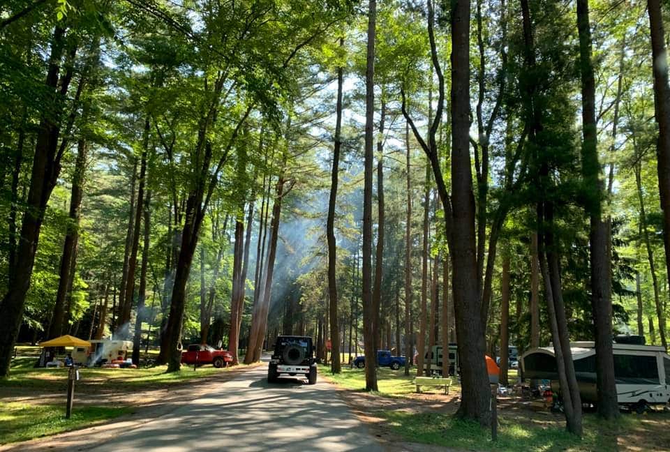 Britt B.'s photo at Clear Creek State Park Campground near Ridgway, PA