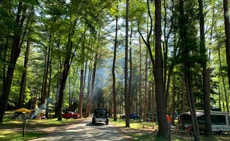 Britt B.'s photo at Clear Creek State Park Campground near Ridgway, PA