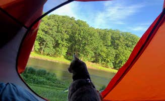 Britt B.'s photo of camping with pets at Clear Creek State Park Campground near Rouseville, PA