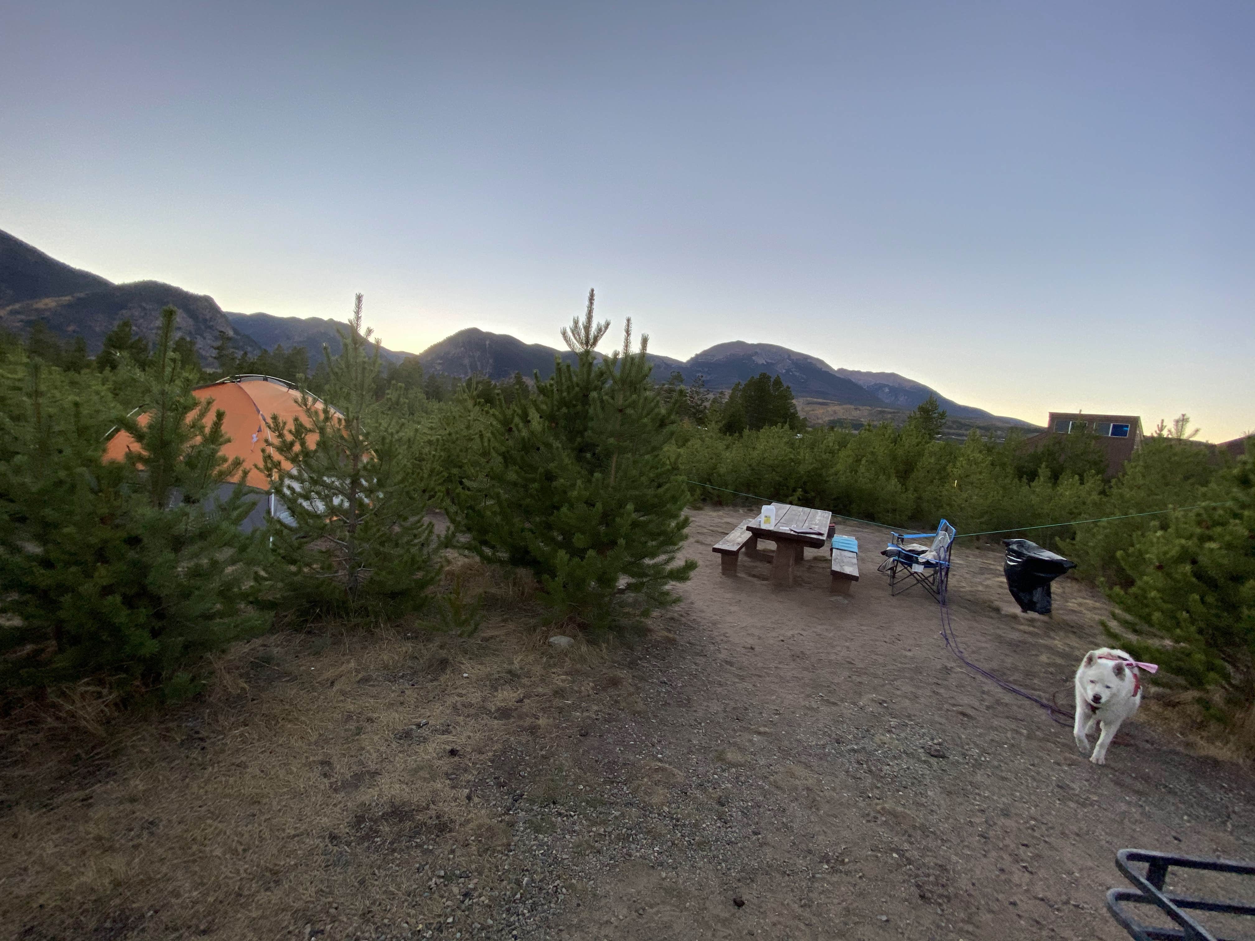Jade G.'s photo of camping with pets at Peak One Campground near Silverthorne, CO