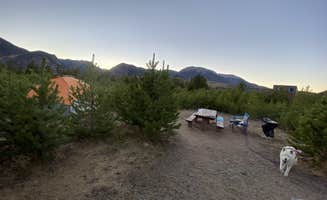 Jade G.'s photo of camping with pets at Peak One Campground near Vail, CO
