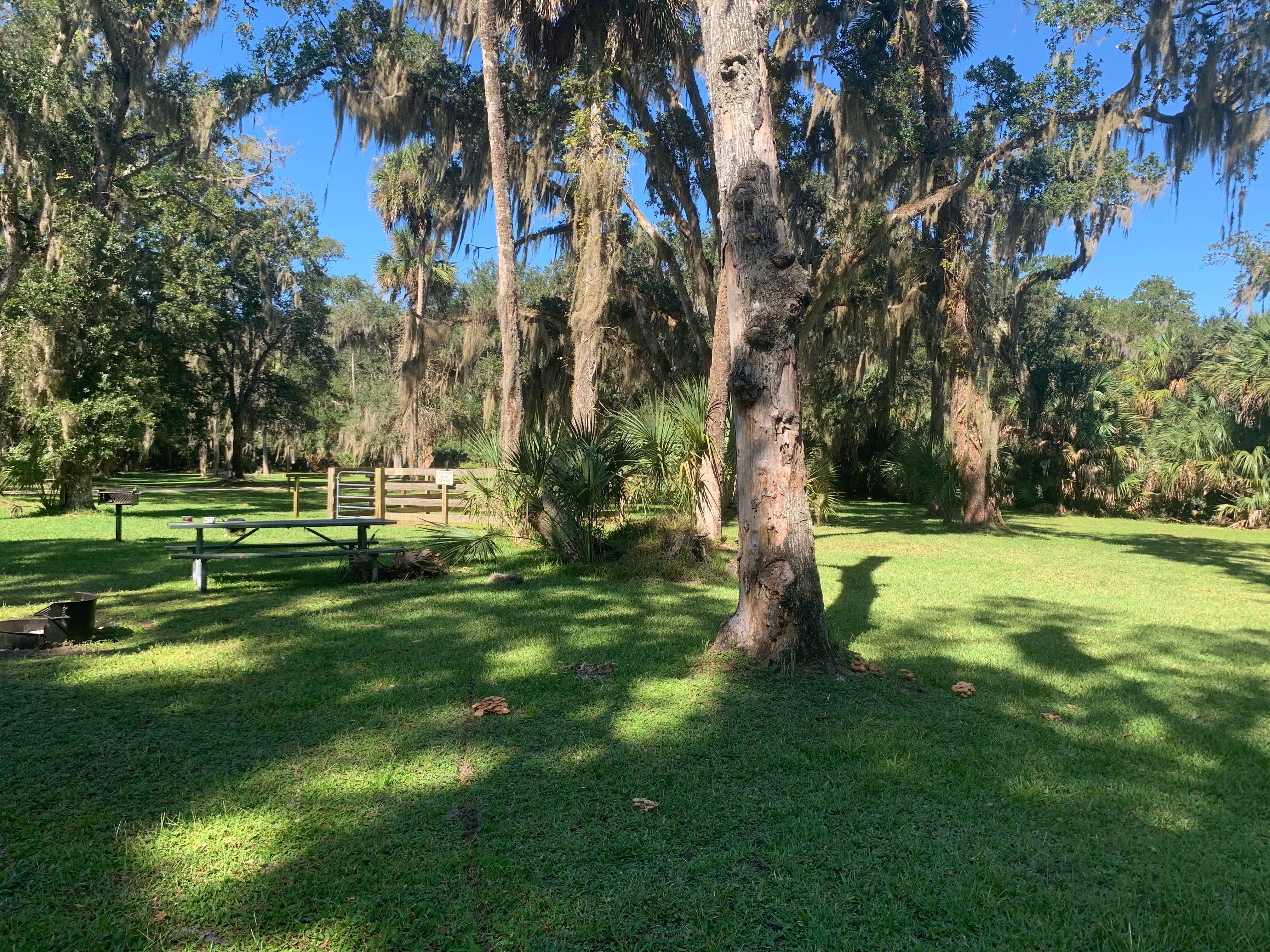 Camper-submitted photo at Princess Place Preserve near Bunnell, FL