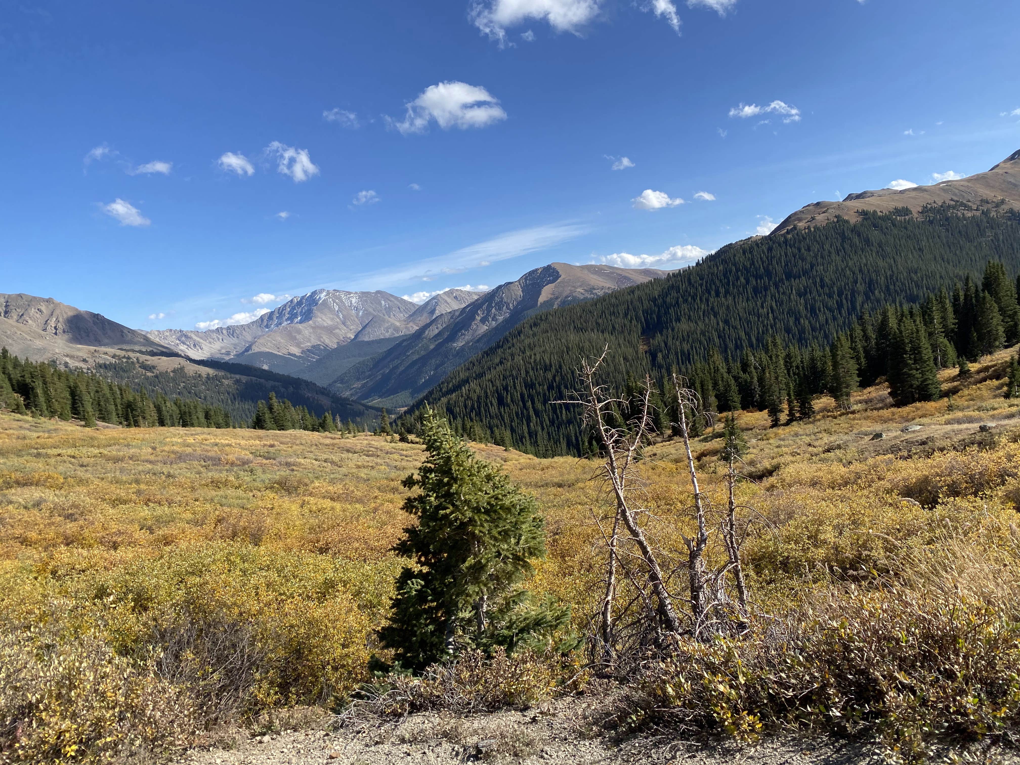 Camper-submitted photo at Portal Campground near Granite, CO