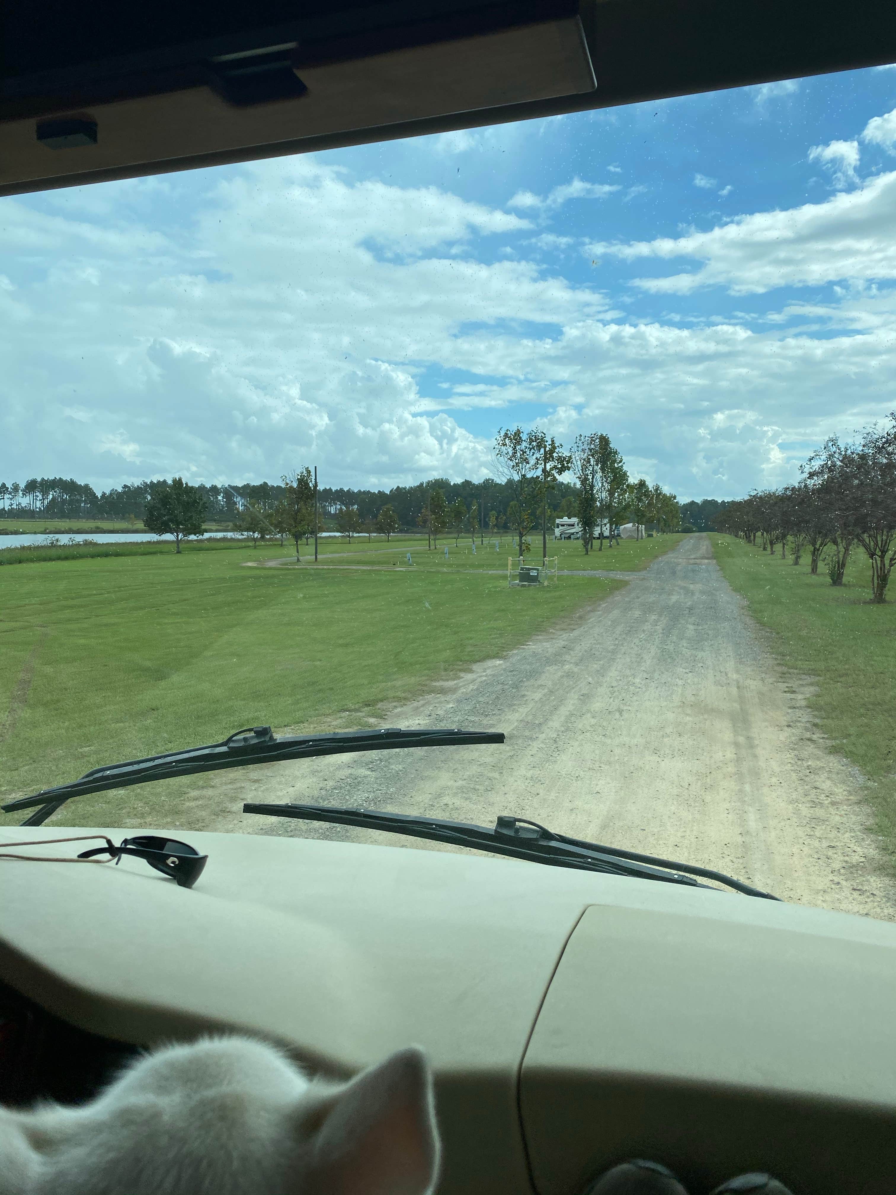 Camper-submitted photo at Paulk Park RV Park and Campground near Hazlehurst, GA