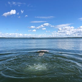 Diving into Lake Ontario from the Campground