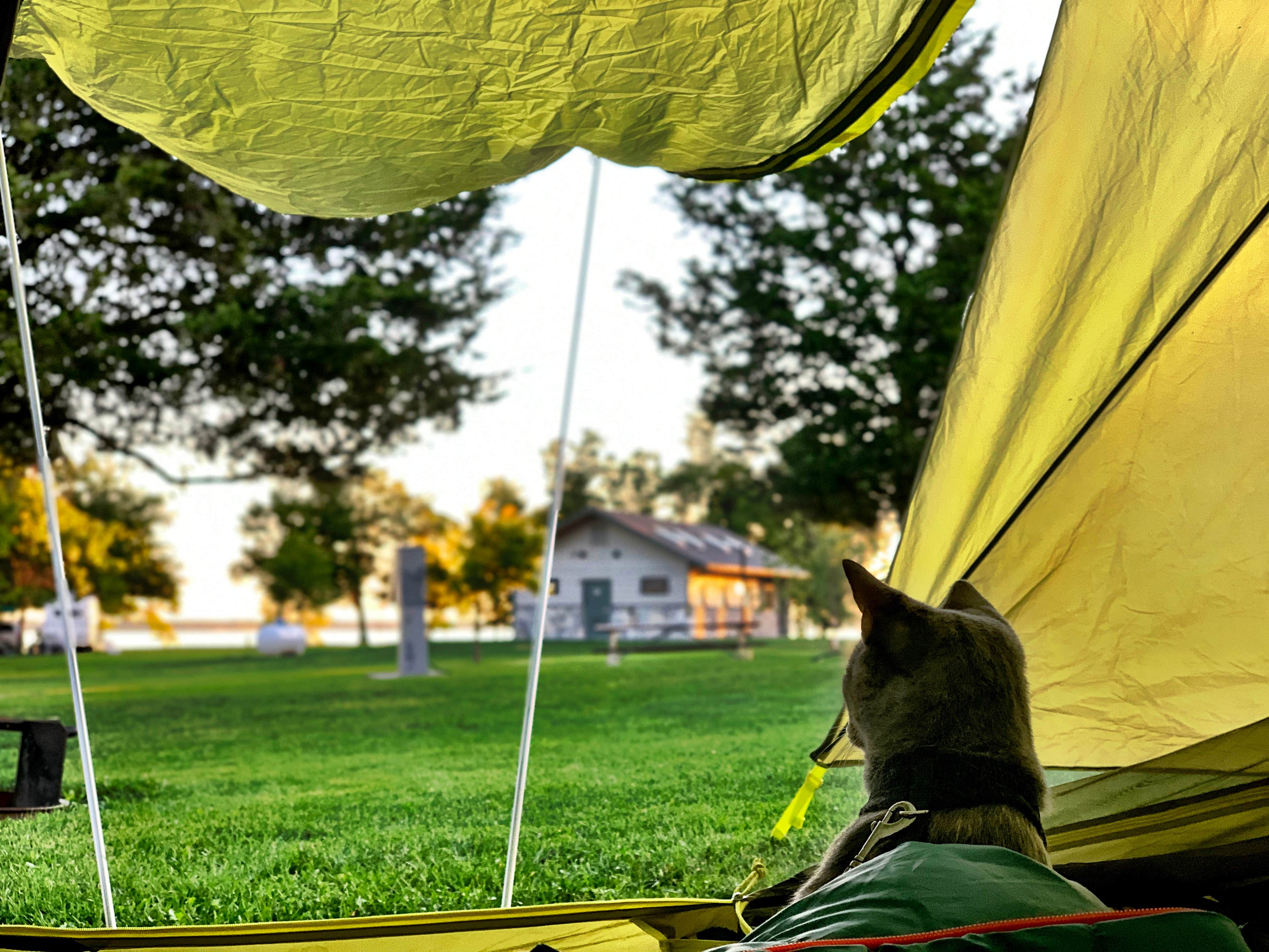 Camper submitted image from Long Point State Park - Thousand Islands - 5