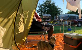 Britt B.'s photo at Long Point State Park Campground — Thousand Islands near Rodman, NY
